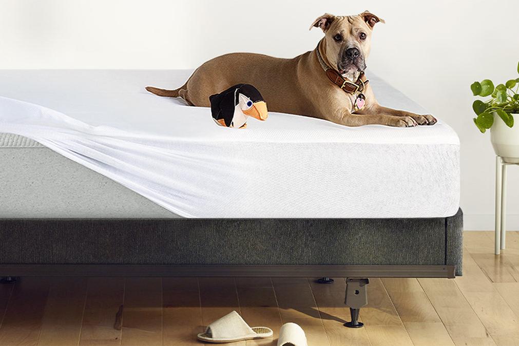 Breathable Mattress Protector - Image 5